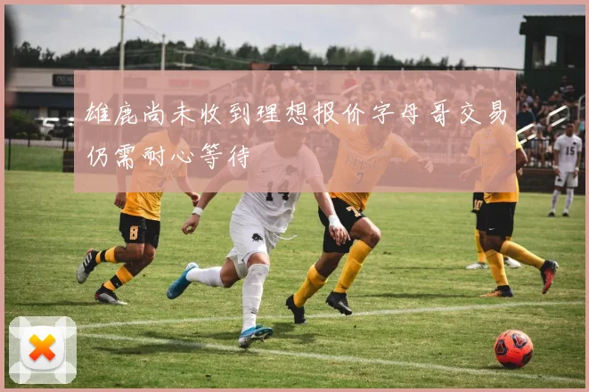 雄鹿尚未收到理想报价字母哥交易仍需耐心等待